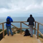 Hiking Tour Along the West Coastline - What to Expect on the Hiking Tour Along the West Coastline