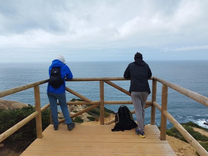 Hiking Tour Along the West Coastline - What to Expect on the Hiking Tour Along the West Coastline