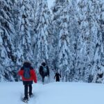Hiking tour in Nuuksio National Park with meal and snacks - What Makes This Tour Stand Out