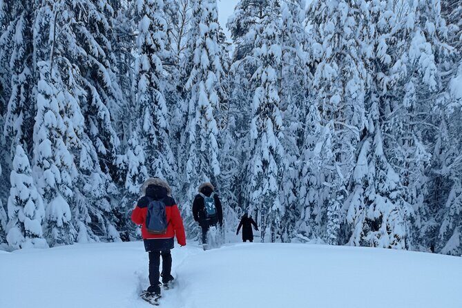 Hiking tour in Nuuksio National Park with meal and snacks - What Makes This Tour Stand Out
