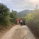 Hiking Tour to Top of Arrabida Mountain - Final Thoughts: Who Should Consider This Tour?