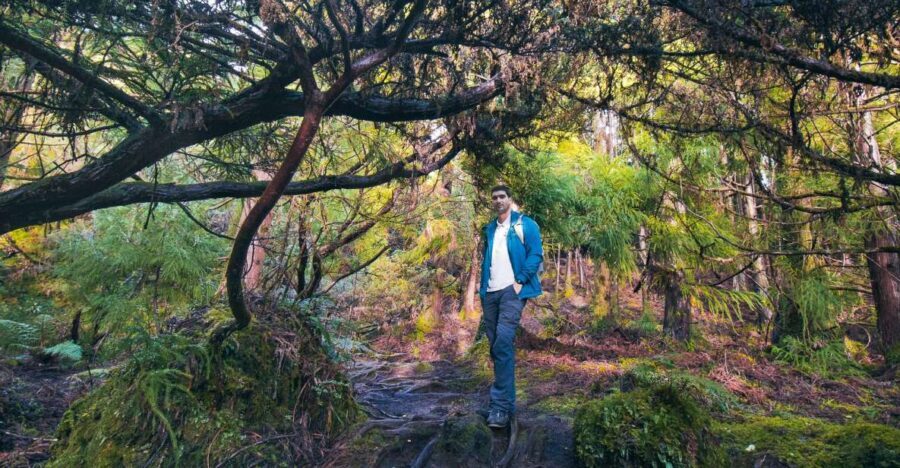 Hiking Trails - Who This Tour Suits Best