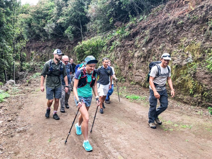 Hiking Trip with a Local - A Deep Dive into the Madeira Hiking Experience