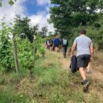 Hiking & Wine between Côte-Rôtie and Condrieu - The Sum Up: Is It Worth It?