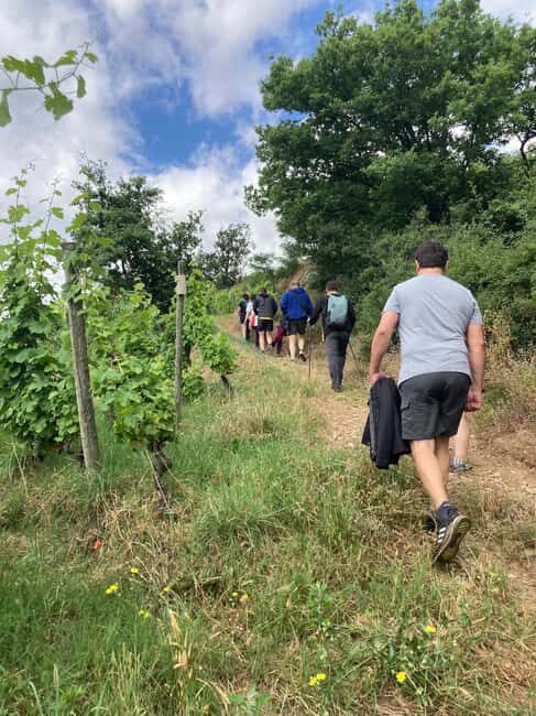 Hiking & Wine between Côte-Rôtie and Condrieu - The Sum Up: Is It Worth It?