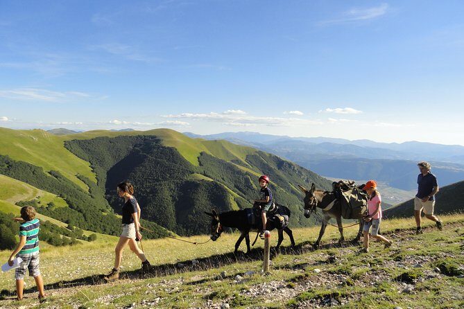 Hiking with donkeys - Final Thoughts