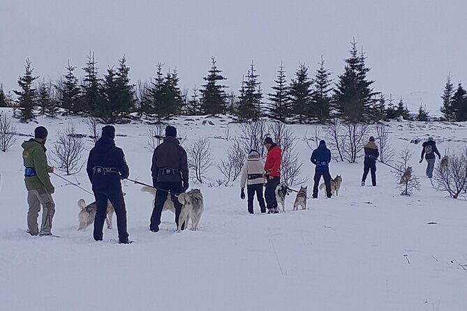 Hiking with Husky in Akureyri - Detailed Breakdown of the Itinerary