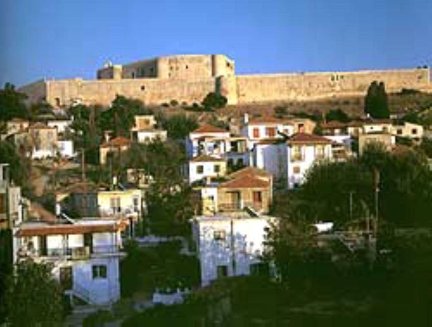 Hilarious walking adventure in the heart of Athens - Authenticity and Value