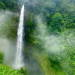 Hilo: Akaka Falls, Volcanoes, and Onomea Bay Guided Tour - An In-Depth Look at the Tour Experience