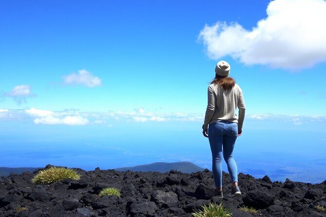 Hilo and Volcano National Park Tour for Cruise Passengers at port - In-Depth Breakdown of the Itinerary