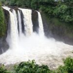 Hilo Highlights: Waterfall & Local Secrets on a Short Excursion - An Engaging Look at Hilo Highlights: Waterfall & Local Secrets on a Short Excursion