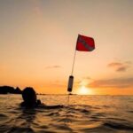 Hilo: Night Dive for Certified Divers - Why You Should Consider This Tour