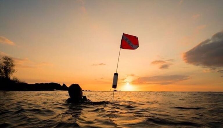 Hilo: Night Dive for Certified Divers - Why You Should Consider This Tour