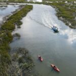 Hilton Head: 2 Hour Private Dolphin Tour - An In-Depth Look at the Hilton Head Dolphin Tour