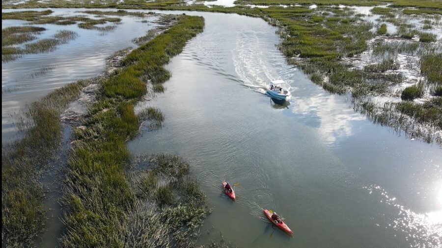 Hilton Head: 2 Hour Private Dolphin Tour - An In-Depth Look at the Hilton Head Dolphin Tour
