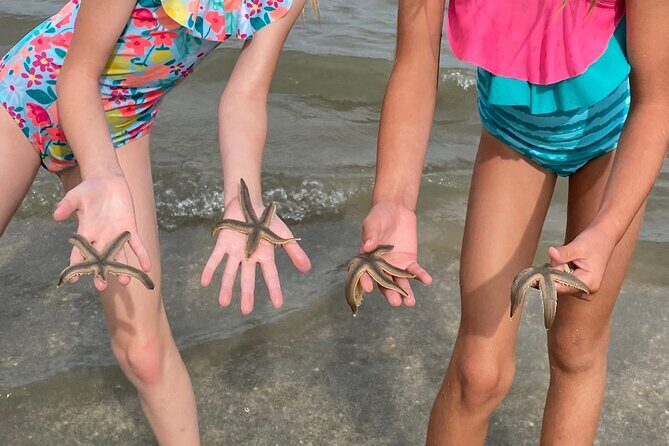 Hilton Head Dolphin Tour with Stop at Disappearing Island - An In-Depth Look at the Hilton Head Dolphin Tour