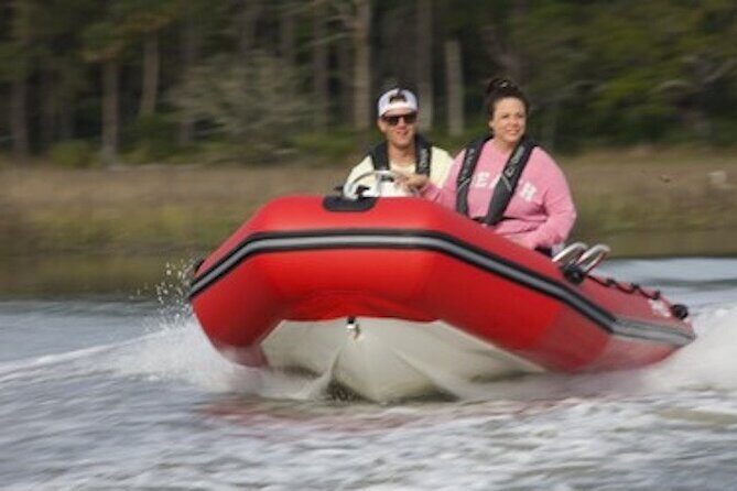 Hilton Head Guided Dolphin Watching & Sightseeing Tour via Mini Boat - The Value of the Tour