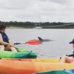 Hilton Head Guided Kayak Eco Tour - FAQ