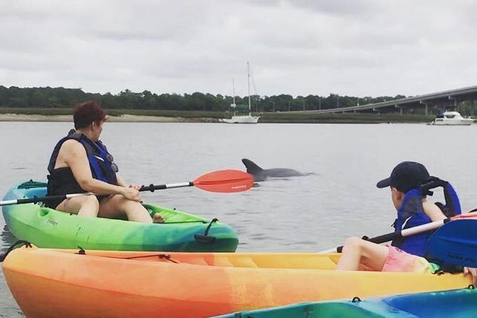 Hilton Head Guided Kayak Eco Tour - FAQ