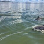 Hilton Head Guided Sunset Creek Cat Tour - Authentic Experiences and Authenticity