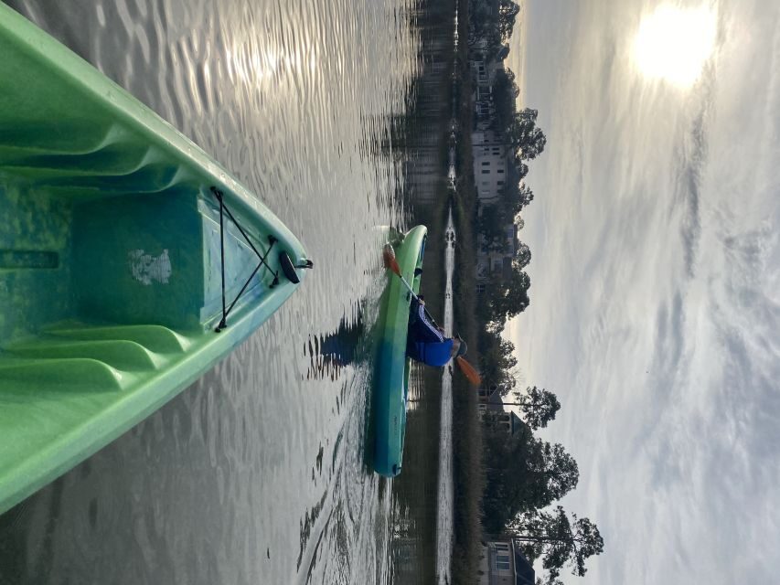 Hilton Head Island: 1.5-Hour Guided Small-Group Kayak Tour - Why This Tour Is Worth Your Time