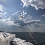 Hilton Head Island: High-Flying Parasail Experience - Who Should Consider This Tour