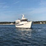 Hilton Head Island: Ocean Dolphin Cruise - Who Will Love This Tour?