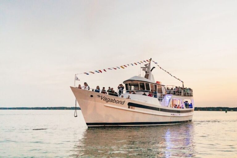 Hilton Head Island: Sunset Dolphin Cruise - Final Thoughts