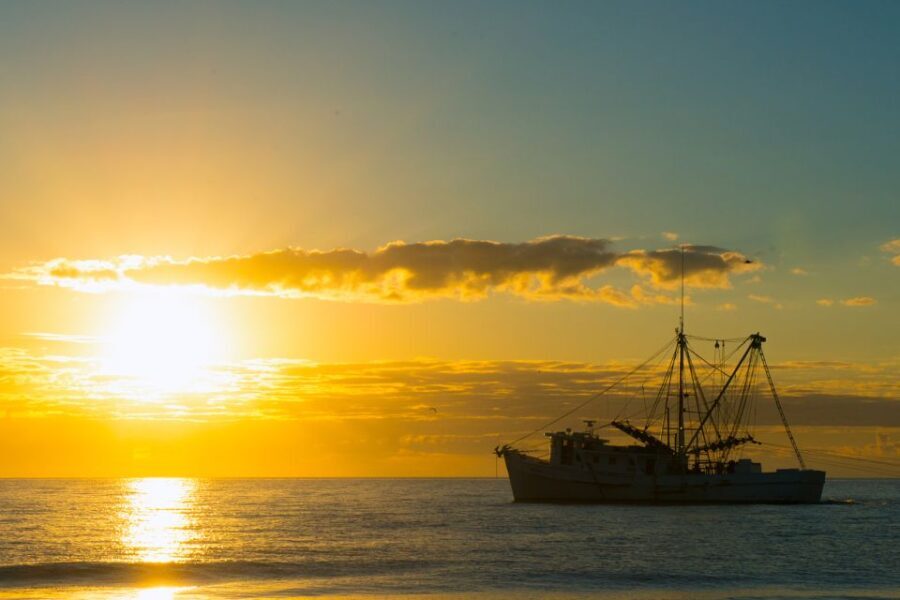 Hilton Head: Private 2-hour Sunset Cruise - Analyzing the Value: Is It Worth It?