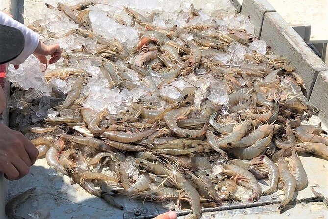 Hilton Head Shrimp Trawling Boat Cruise - FAQ