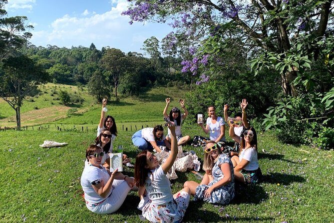 Hinterland Explorer Day Pass - A Closer Look at the Hinterland Explorer Day Pass