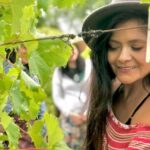 Hinterland Heritage Wine Tour - What to Expect and Practicalities