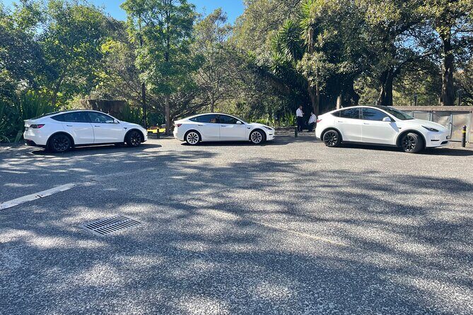 Hire Car and Limousine Service - An In-Depth Look at the Hire Car and Limousine Service in Sydney