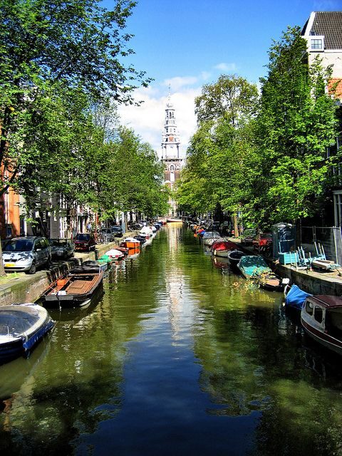 Historic Amsterdam 2-Hour Private Tour with Local Guide - The Value of a Private Guide