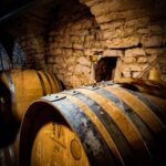 Historic Center of Dijon : Discovery Tasting Wine Burgundy - Exploring the Experience in Detail