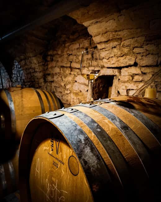 Historic Center of Dijon : Discovery Tasting Wine Burgundy - Exploring the Experience in Detail