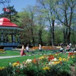 Historic Halifax by Foot - What Reviewers Say About the Experience