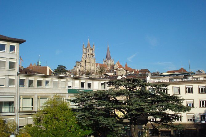 Historic Lausanne: Exclusive Private Tour with a Local Expert - The Practicalities: What You Need to Know