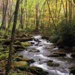 Historic River Town Ramble - Who Will Love This Tour?