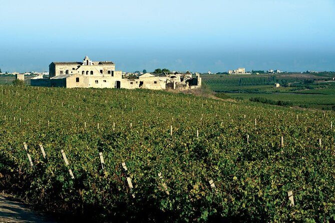 Historic winery visit with food and wine tasting in Marsala - A Deep Dive into the Marsala Winery Tour