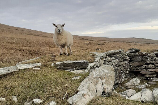 Historical Walking Tours in Valentia and the Skellig Region - Who Should Consider This Tour?