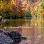 History and nature: Sevan lake, Dilijan, Tsaghkadzor - Practicalities and Tips for the Tour
