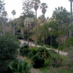 History-mistery of Lisbon (secrets societies and black arts) - Who is this tour perfect for?