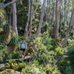 Hobart Adventurer Day Tour | Amazing Views & Native Wildlife - The Practicalities & What You Need to Know