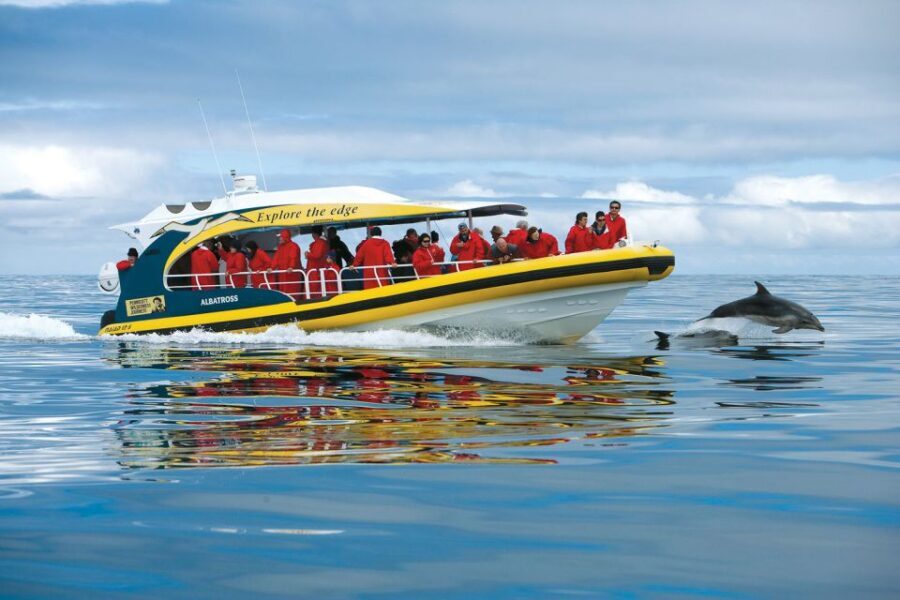 Hobart: Bruny Island Wilderness Coast Eco Cruise with Lunch - Why This Tour Stands Out
