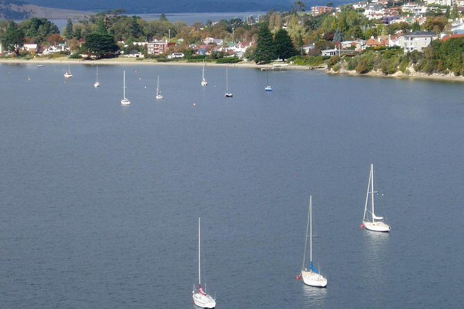 Hobart City Flight Including Mt Wellington and Derwent River - Why This Tour Offers Great Value