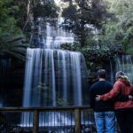 Hobart Cruise Ship Tour Mt Field National Park and Wildlife - Exploring Tasmania’s Natural Treasures: A Closer Look