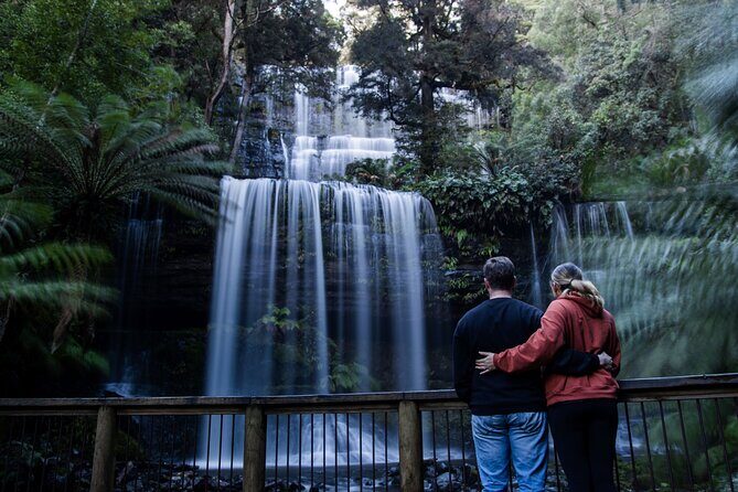 Hobart Cruise Ship Tour Mt Field National Park and Wildlife - Exploring Tasmania’s Natural Treasures: A Closer Look