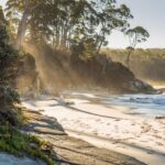 Hobart: Day Trip to Mt Wellington and MONA with Ferry Ride - Why This Tour Works for Travelers