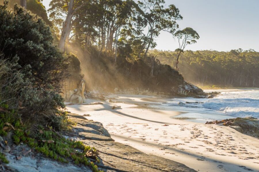 Hobart: Day Trip to Mt Wellington and MONA with Ferry Ride - Why This Tour Works for Travelers